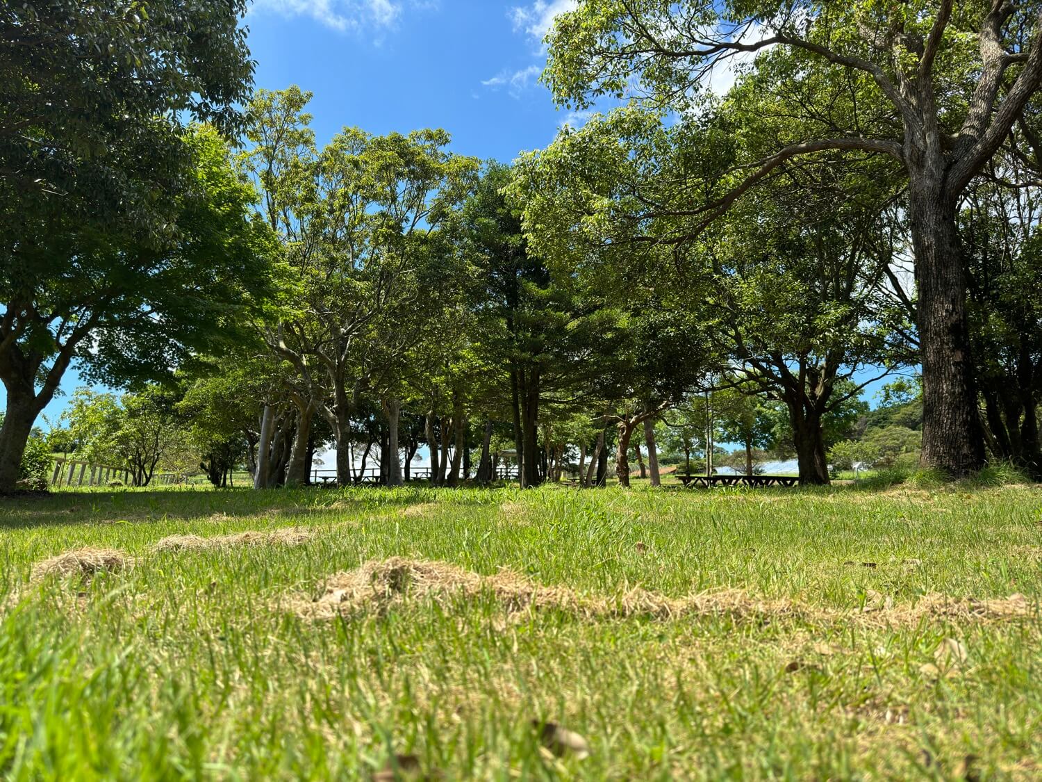 おすすめ撮影スポット 5