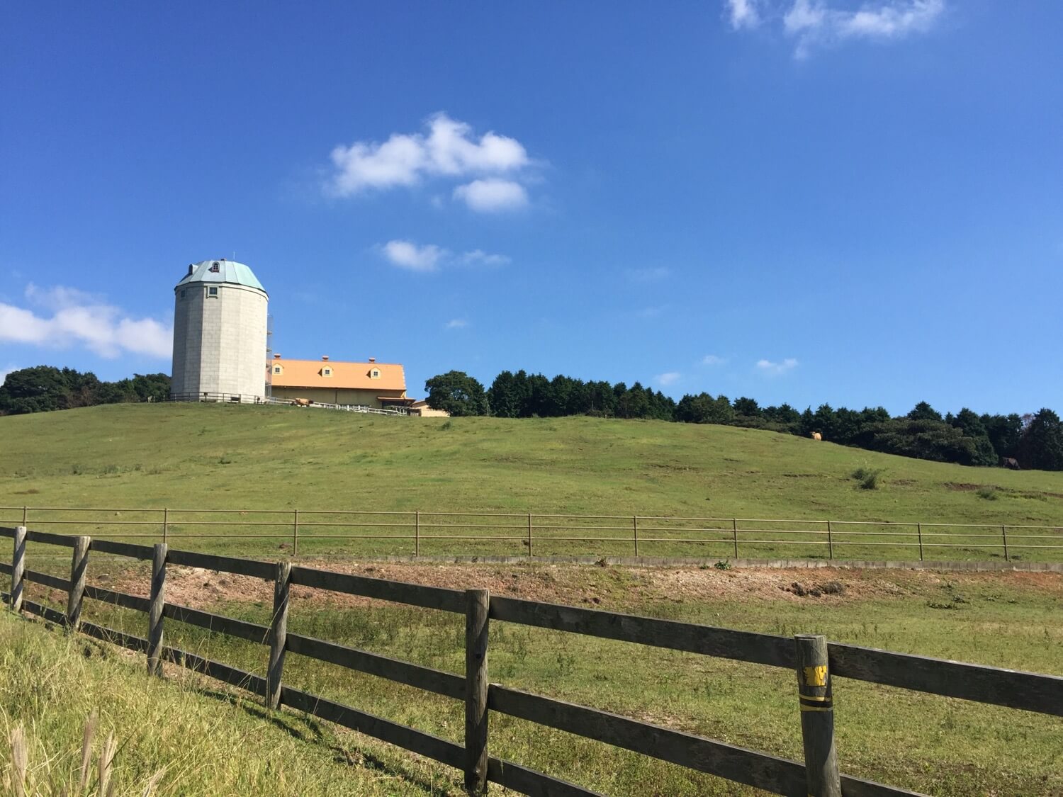 おすすめ撮影スポット 2