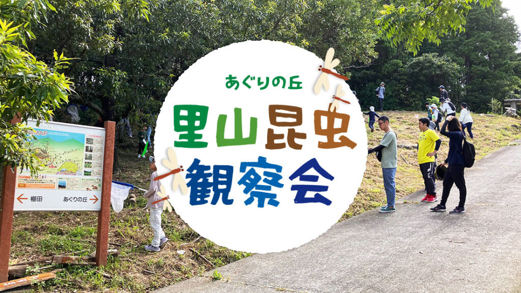 あぐりの丘 - 里山昆虫観察会