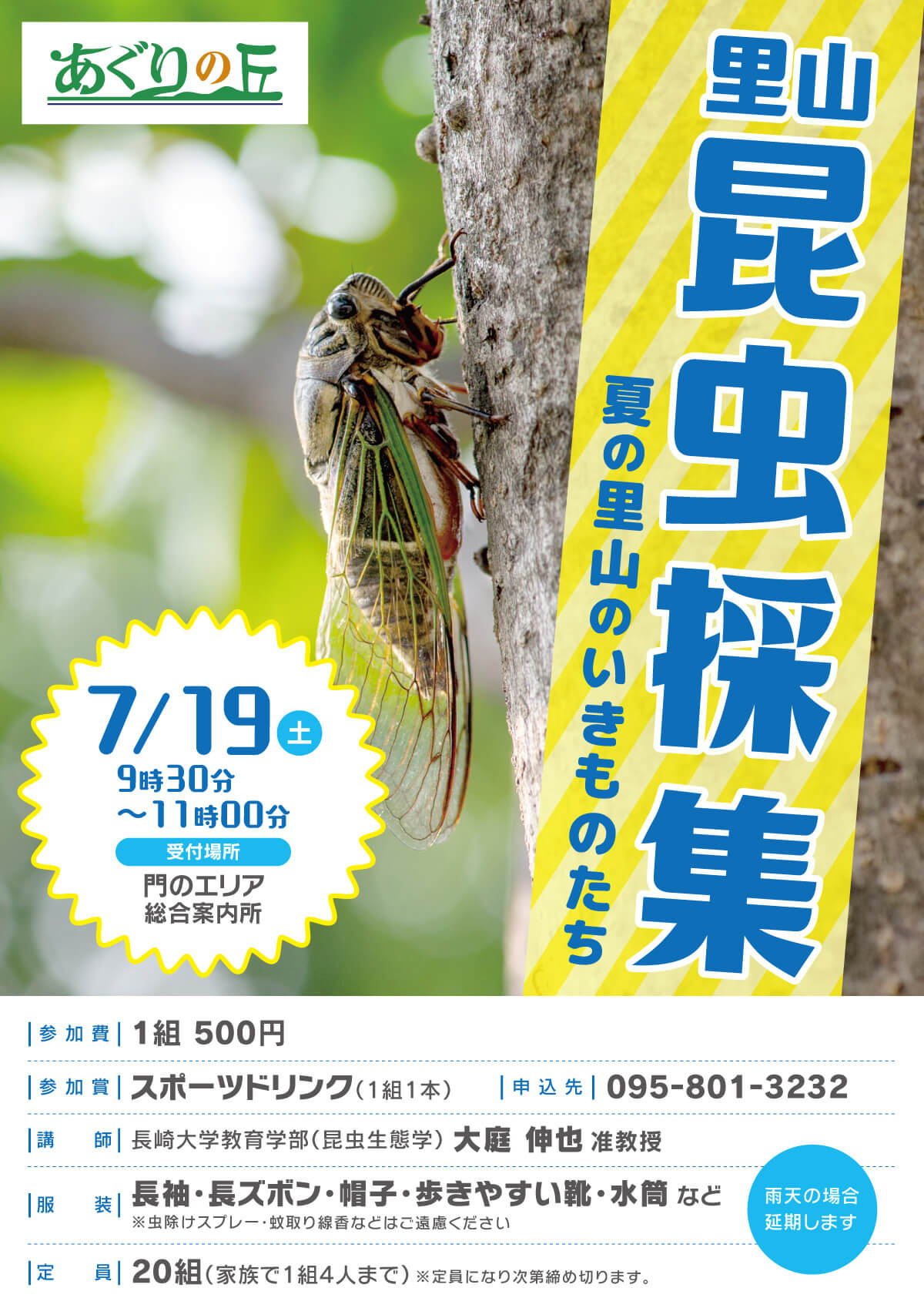 里山昆虫採集
